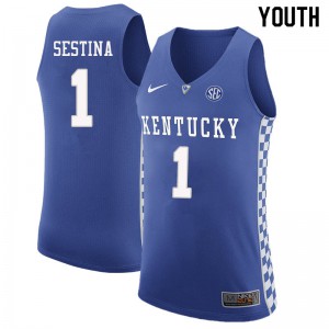 Youth Kentucky Wildcats Nate Sestina #1 Blue High School Jersey 632833-467
